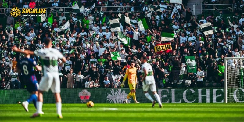 Elche trong buổi tập chuẩn bị cho trận đấu